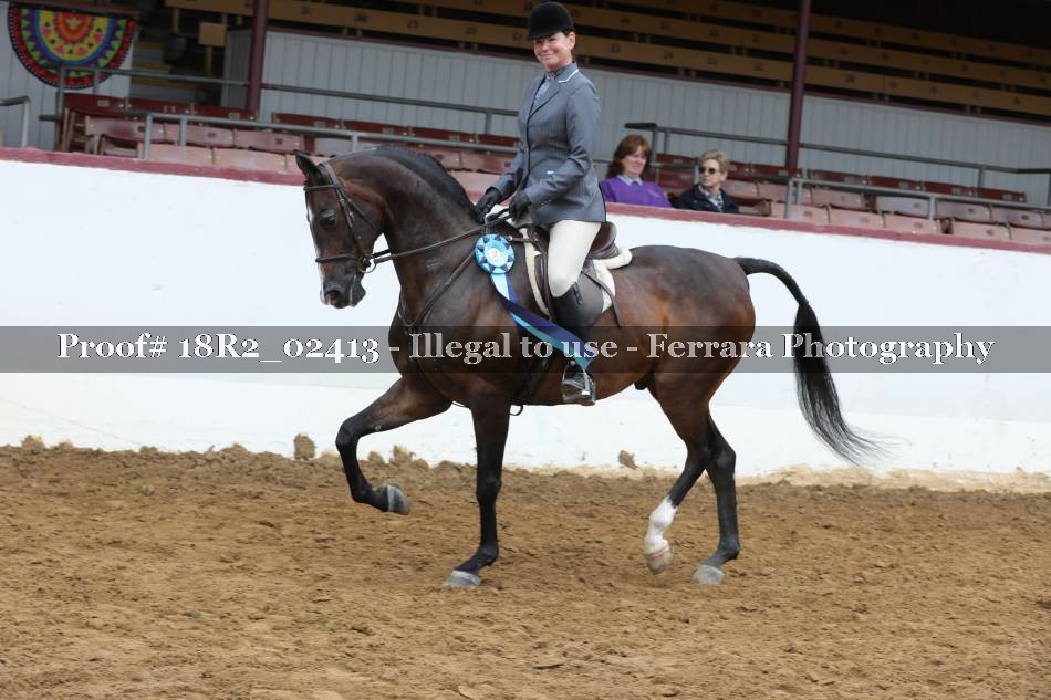 Proof 18R2_02413