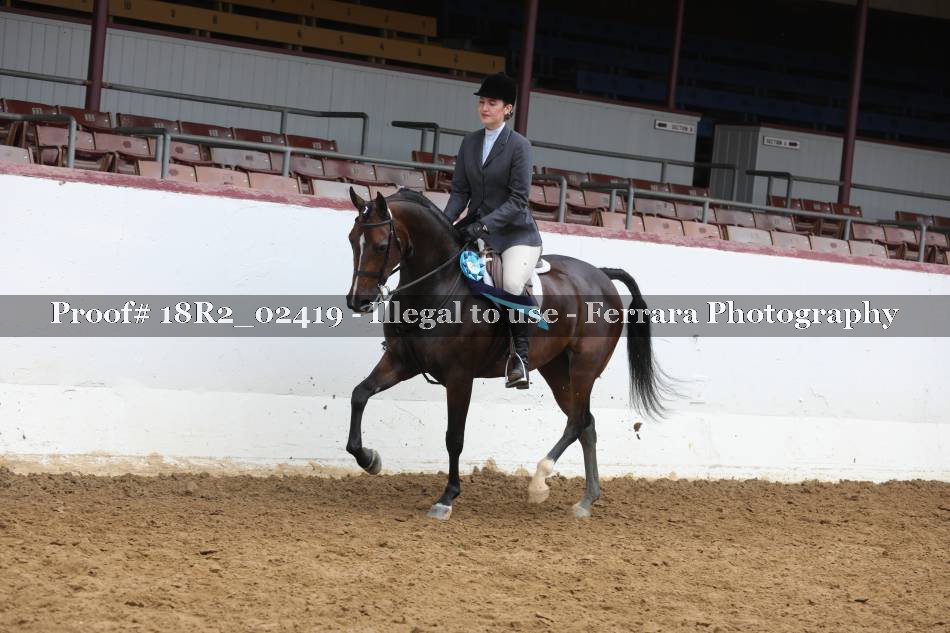 Proof 18R2_02419