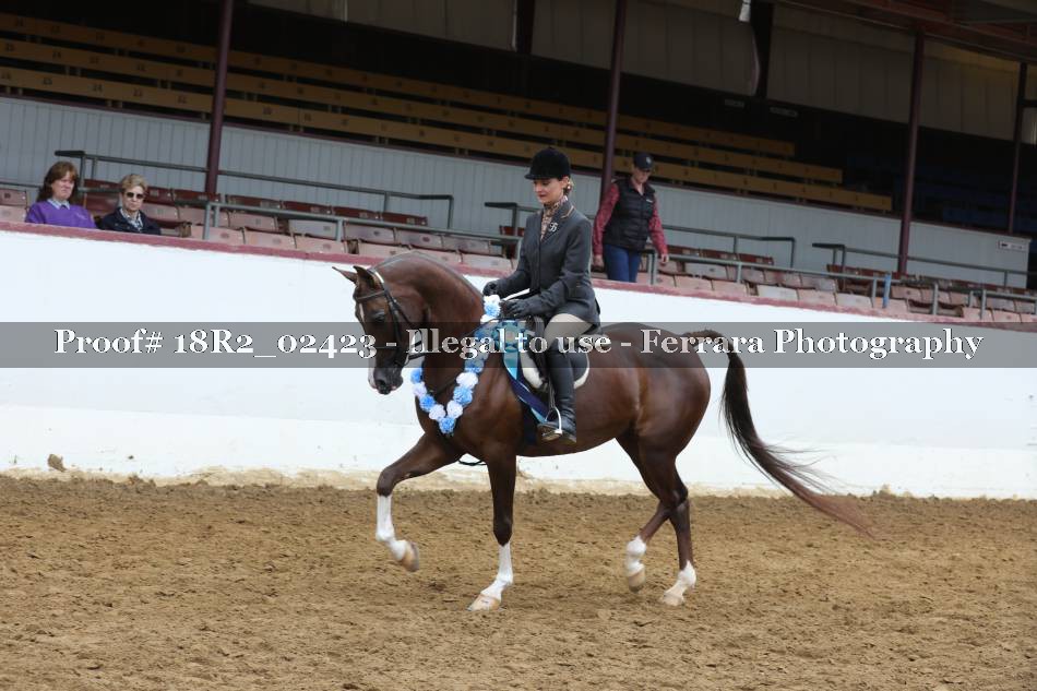 Proof 18R2_02423