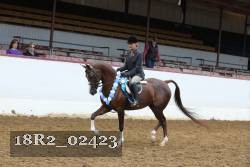 18R2_02423 proof
