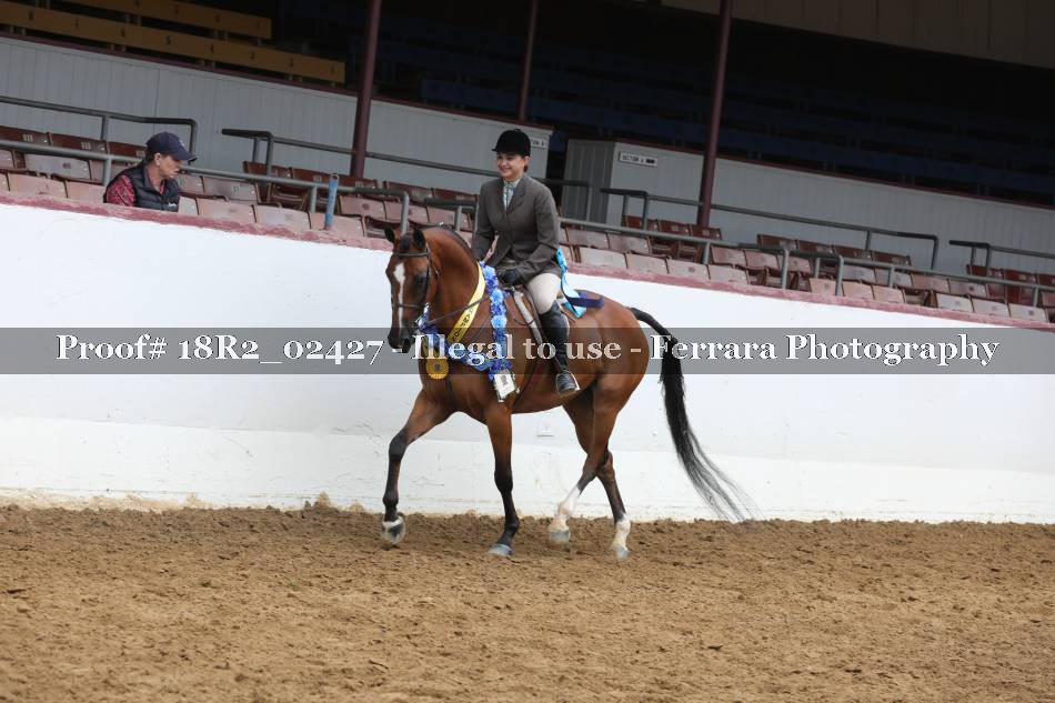 Proof 18R2_02427