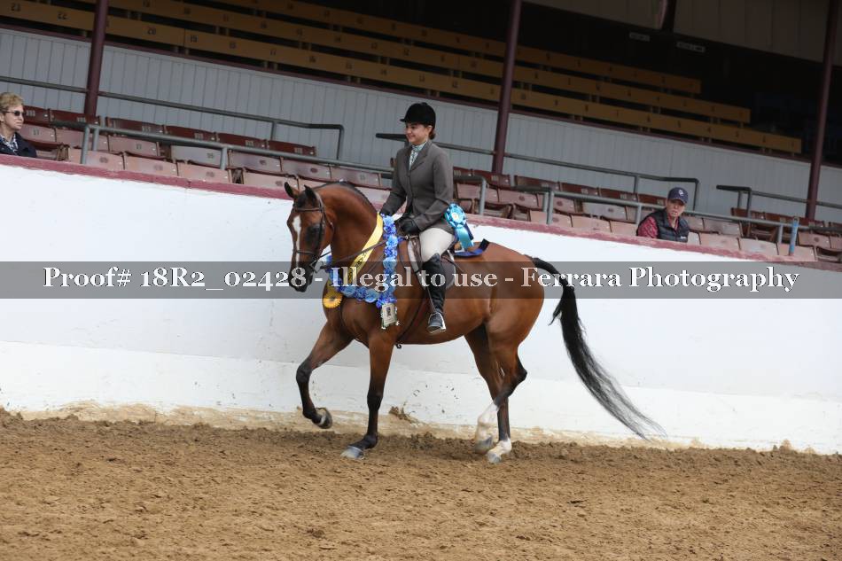 Proof 18R2_02428