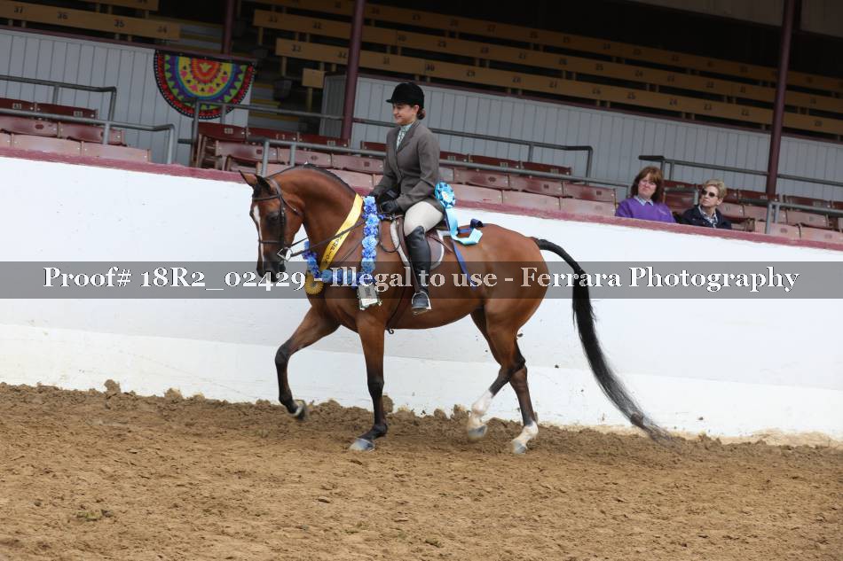 Proof 18R2_02429
