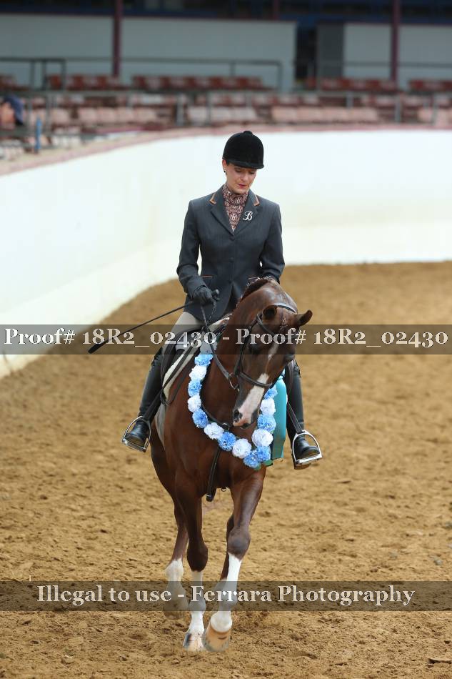 Proof 18R2_02430