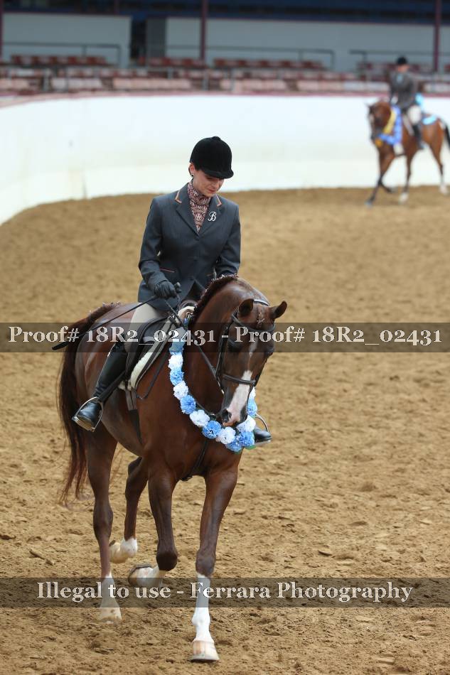 Proof 18R2_02431