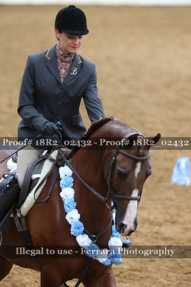 Proof 18R2_02432