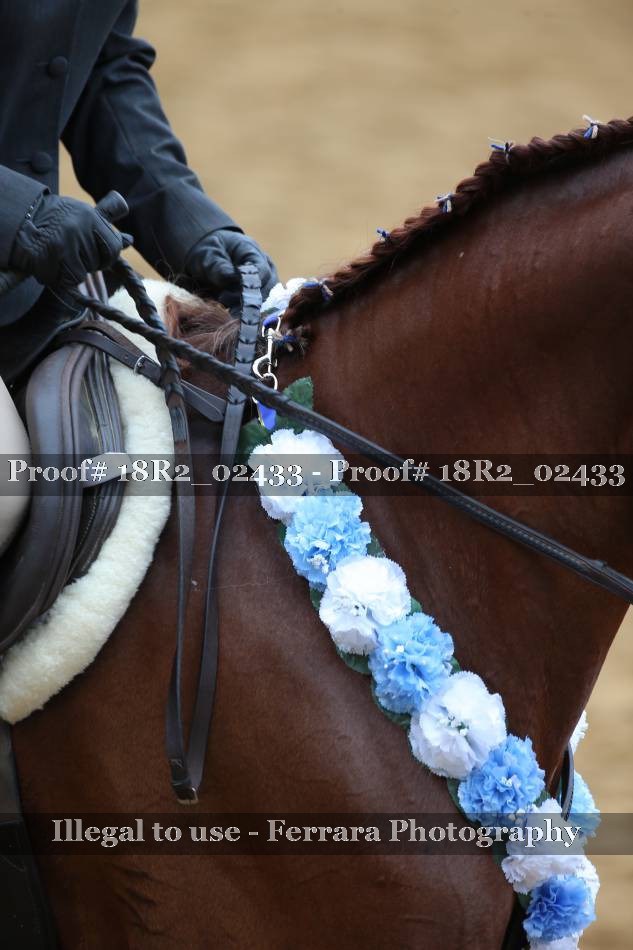 Proof 18R2_02433