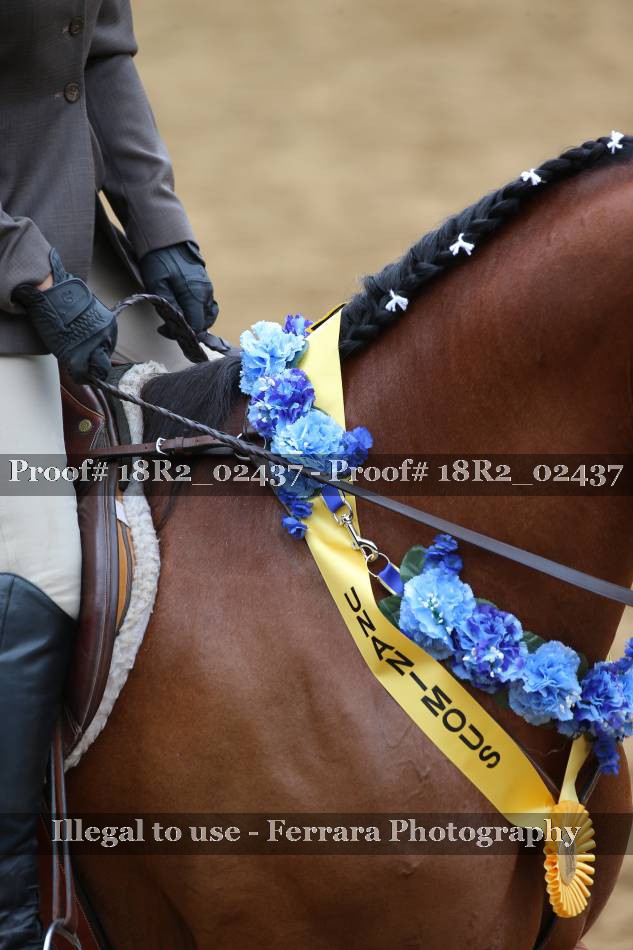 Proof 18R2_02437