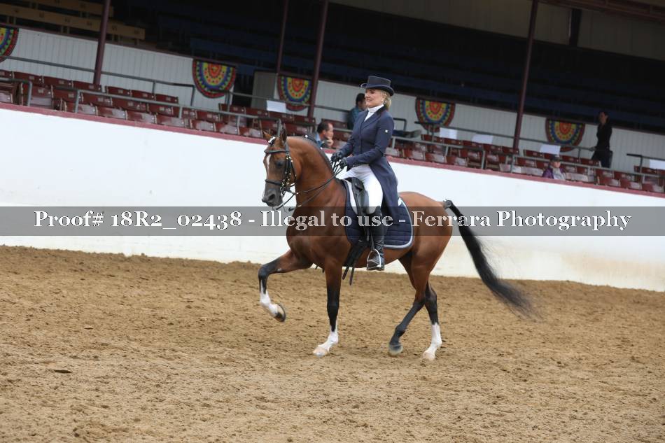 Proof 18R2_02438