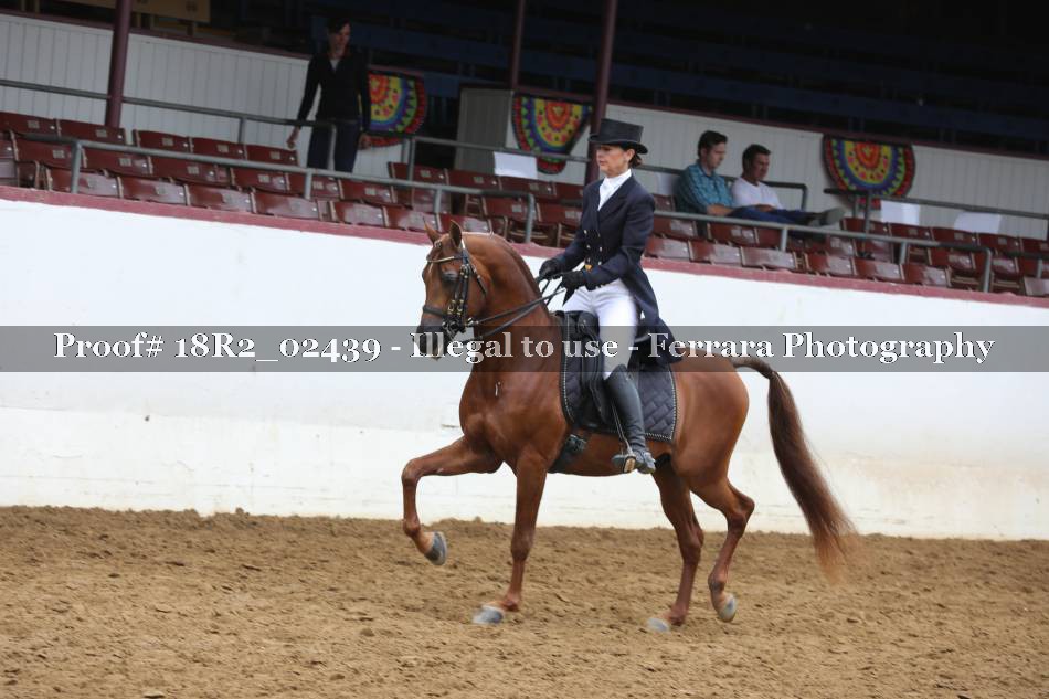Proof 18R2_02439