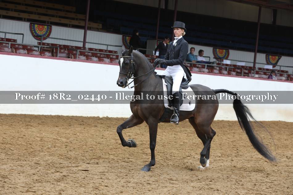 Proof 18R2_02440