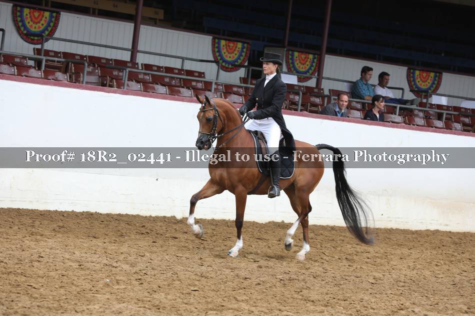 Proof 18R2_02441