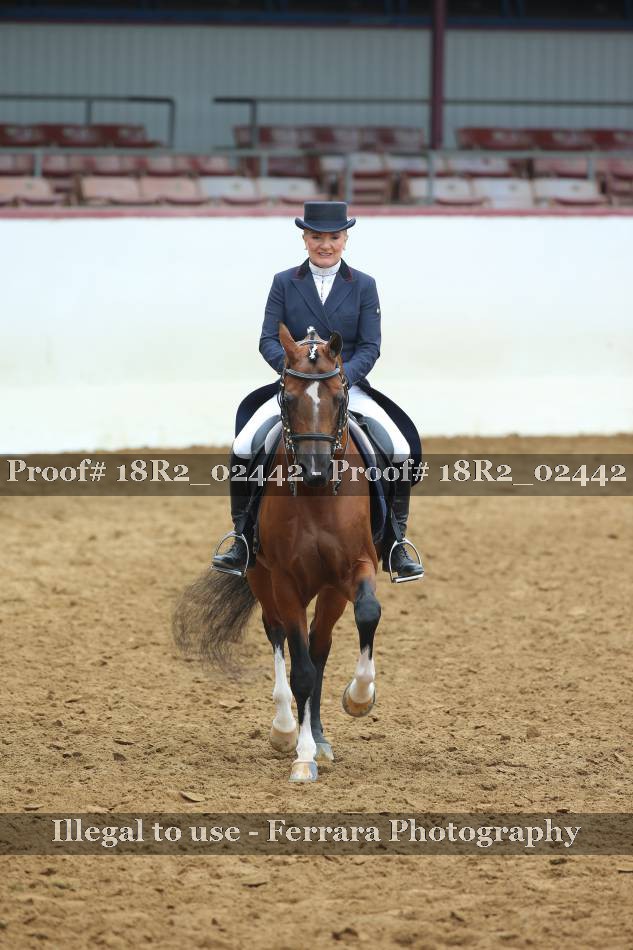 Proof 18R2_02442