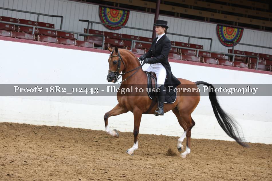 Proof 18R2_02443