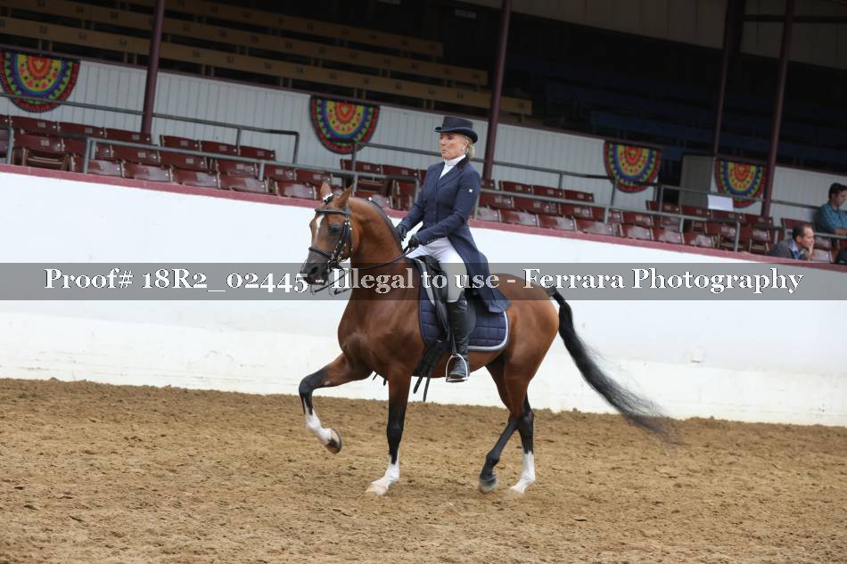 Proof 18R2_02445