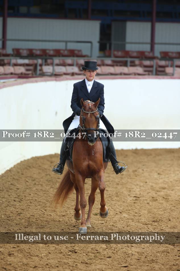 Proof 18R2_02447