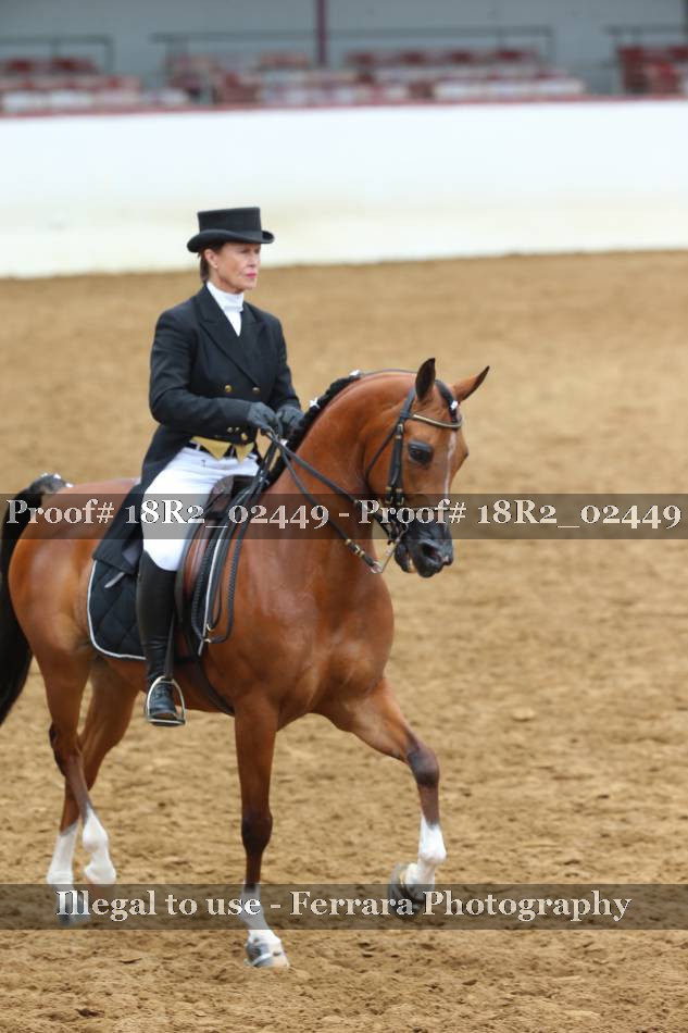 Proof 18R2_02449