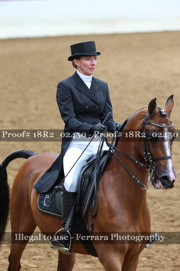 Proof 18R2_02450