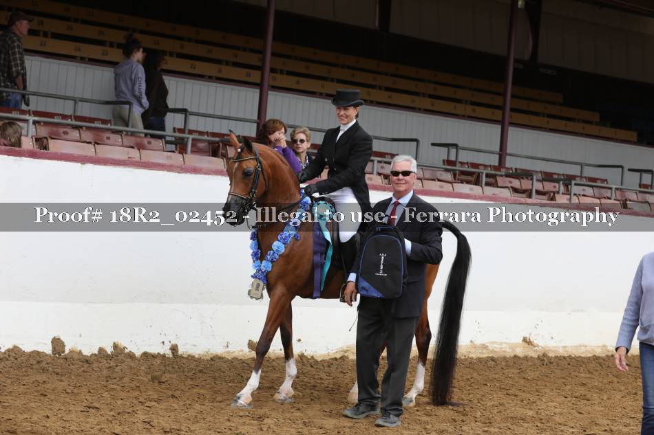 Proof 18R2_02452