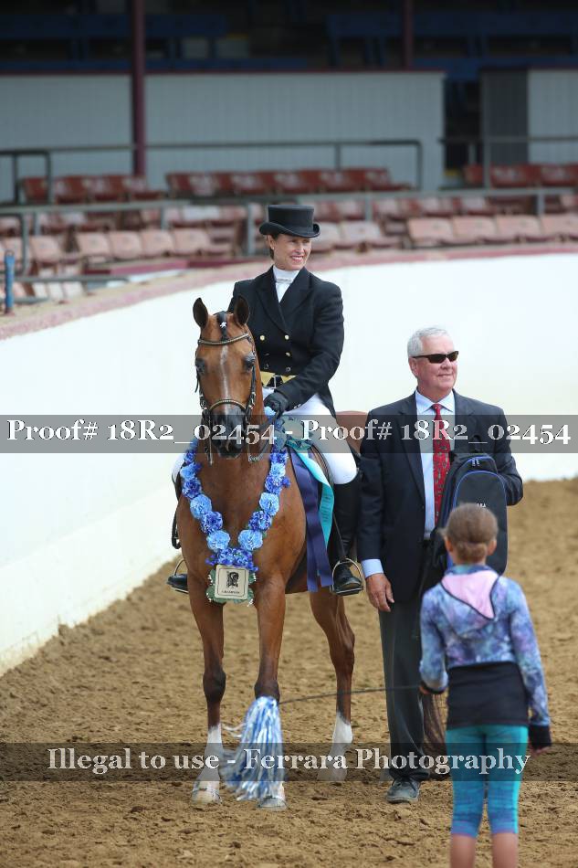 Proof 18R2_02454