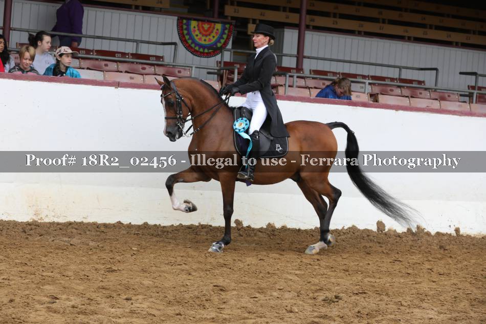 Proof 18R2_02456