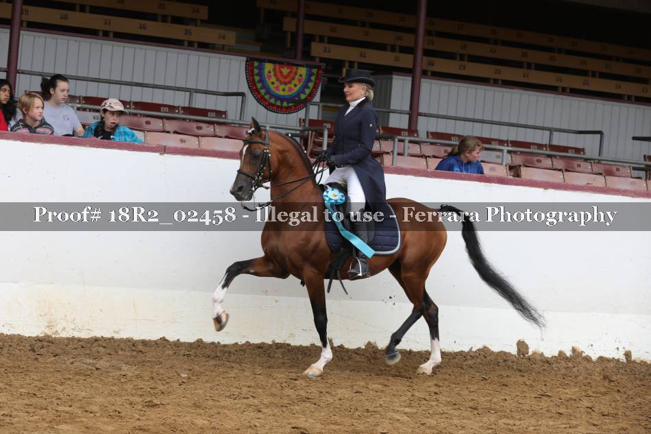 Proof 18R2_02458