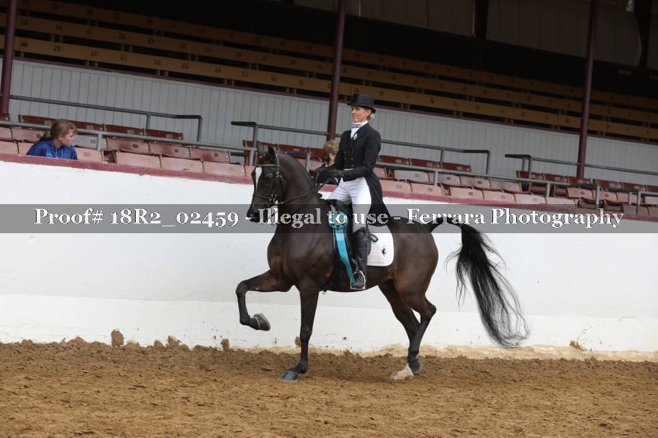 Proof 18R2_02459
