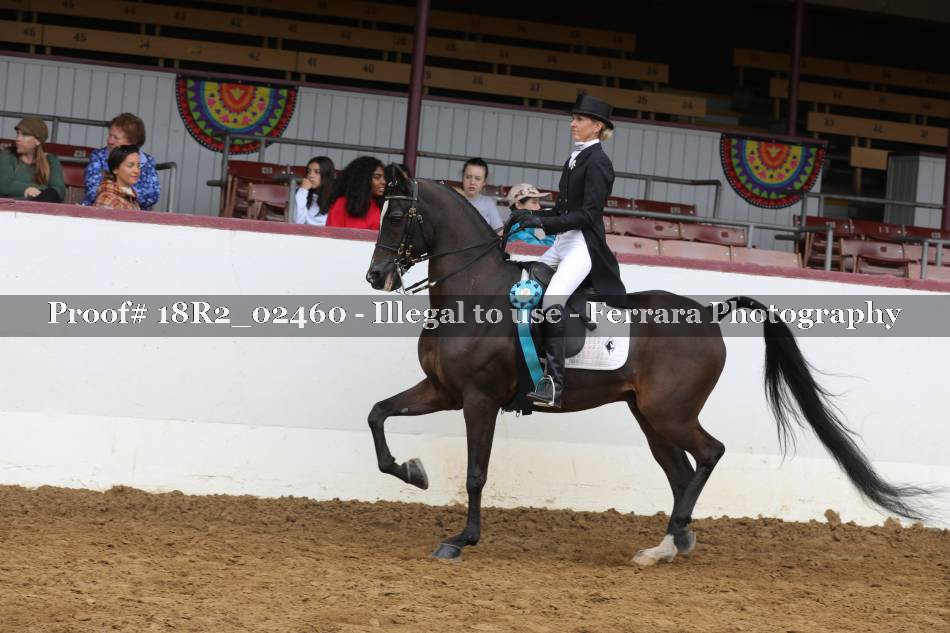 Proof 18R2_02460