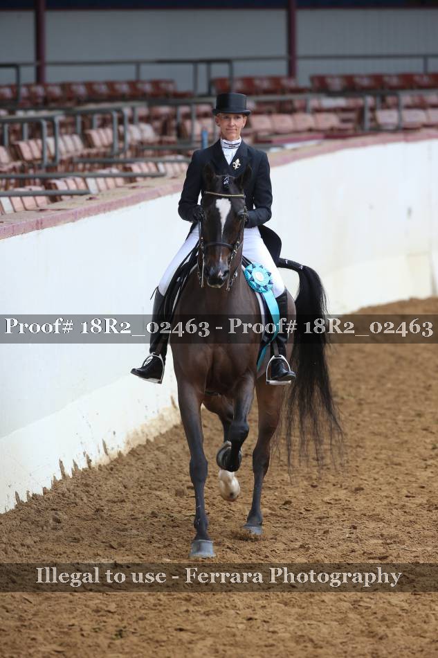 Proof 18R2_02463