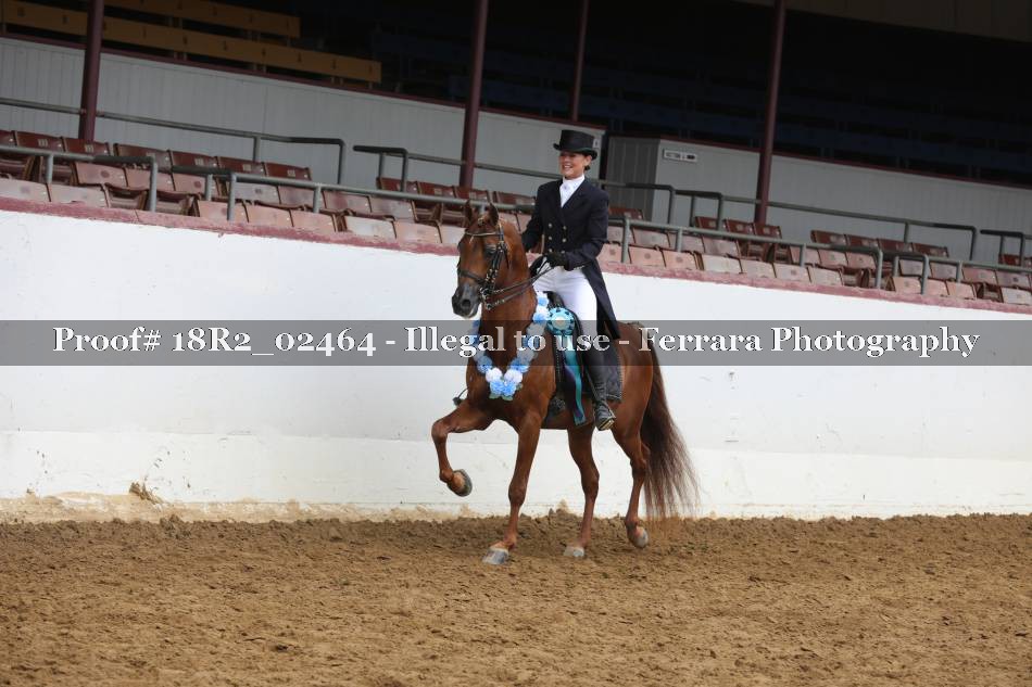 Proof 18R2_02464