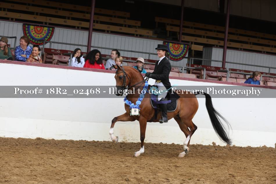 Proof 18R2_02468
