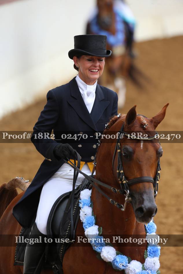 Proof 18R2_02470