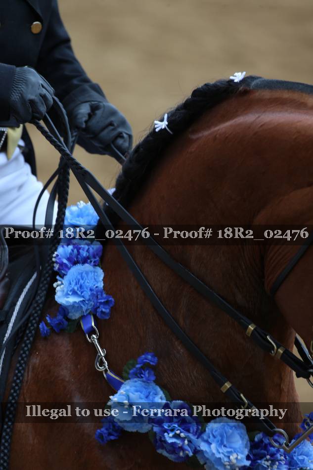 Proof 18R2_02476