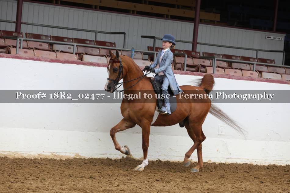 Proof 18R2_02477
