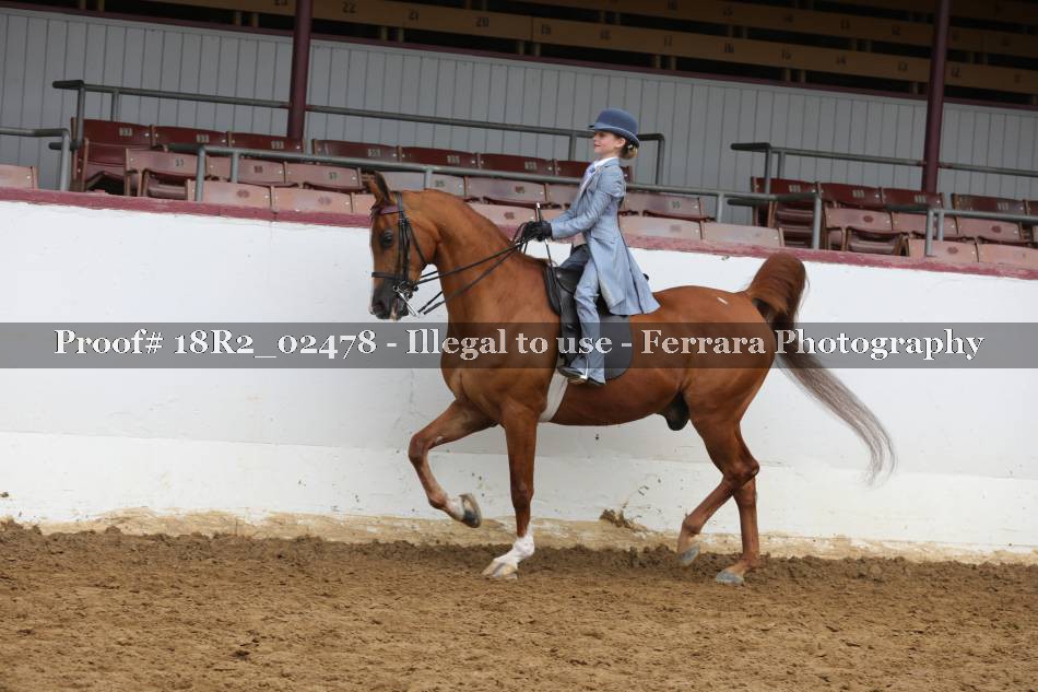 Proof 18R2_02478