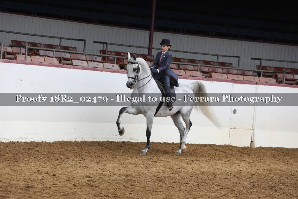 Proof 18R2_02479