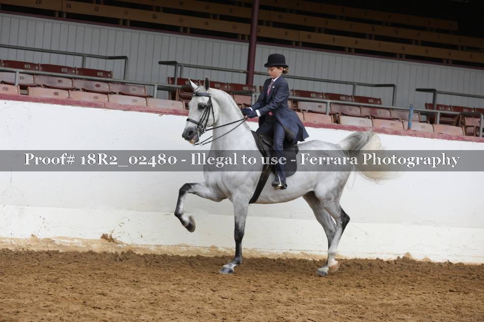 Proof 18R2_02480