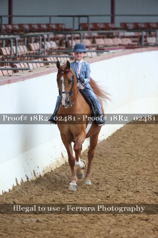 Proof 18R2_02481