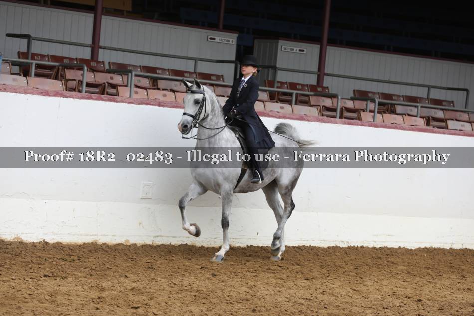Proof 18R2_02483