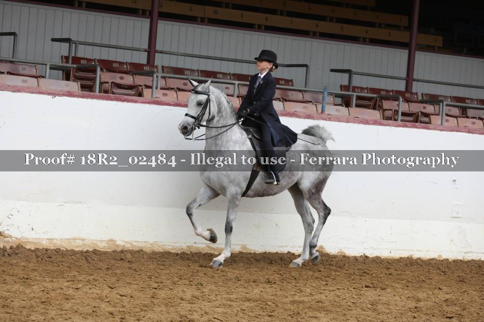 Proof 18R2_02484