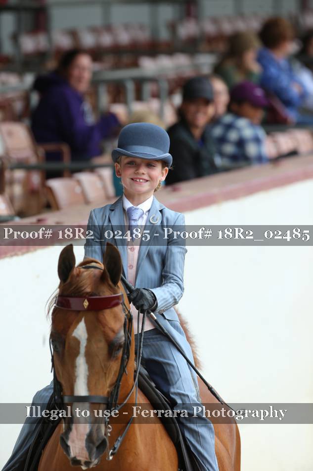 Proof 18R2_02485