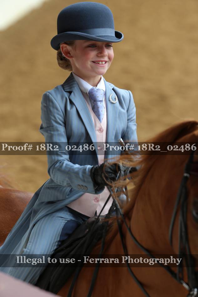 Proof 18R2_02486