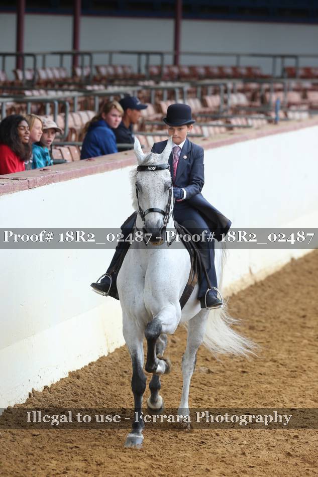 Proof 18R2_02487