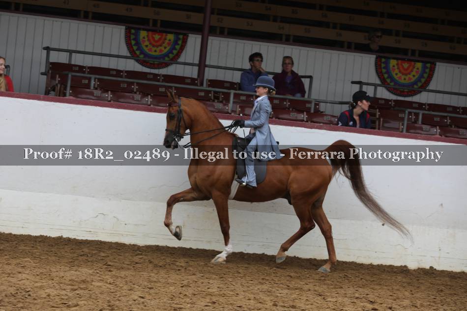 Proof 18R2_02489