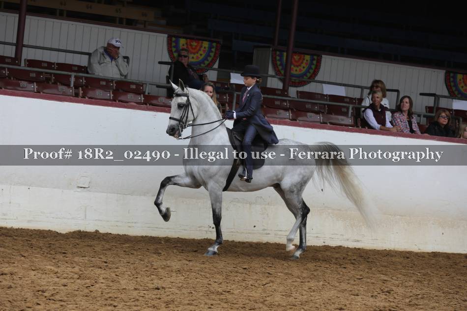 Proof 18R2_02490