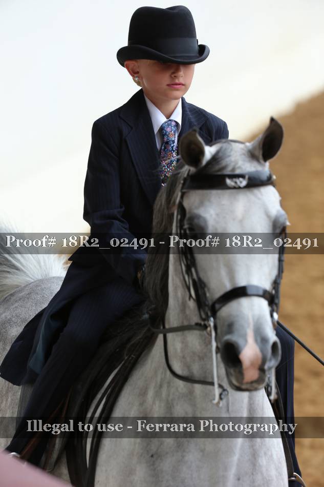 Proof 18R2_02491
