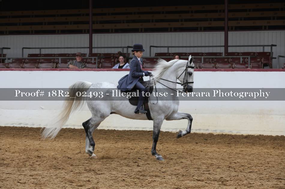 Proof 18R2_02493