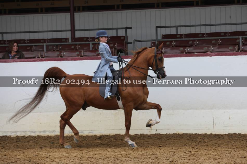 Proof 18R2_02494