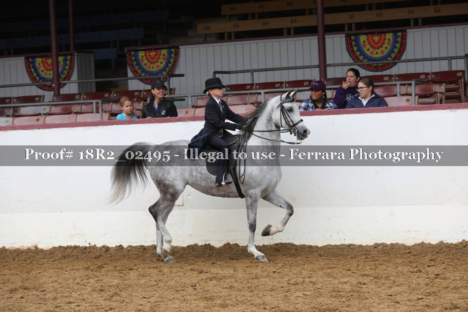 Proof 18R2_02495