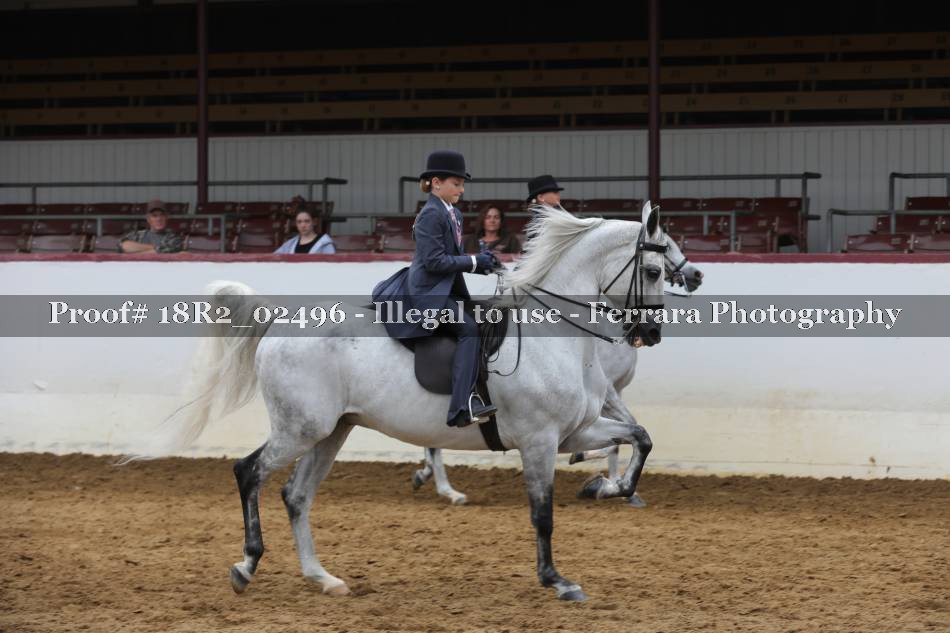 Proof 18R2_02496